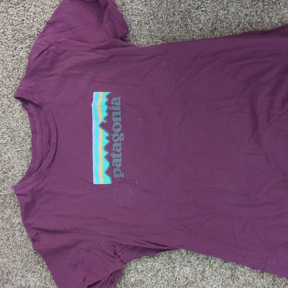 Patagonia tshirt